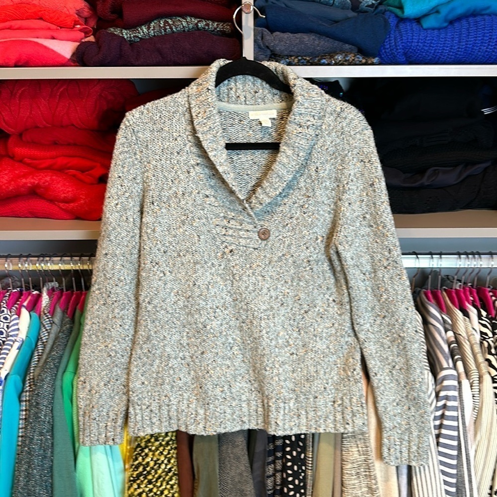 Charter Club sage long sleeve v neck sweater size M​